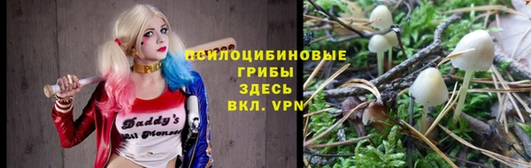 меф Арсеньев