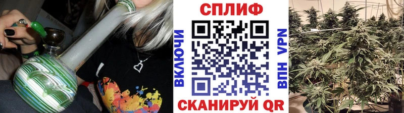 Бошки Шишки марихуана  Сенгилей 